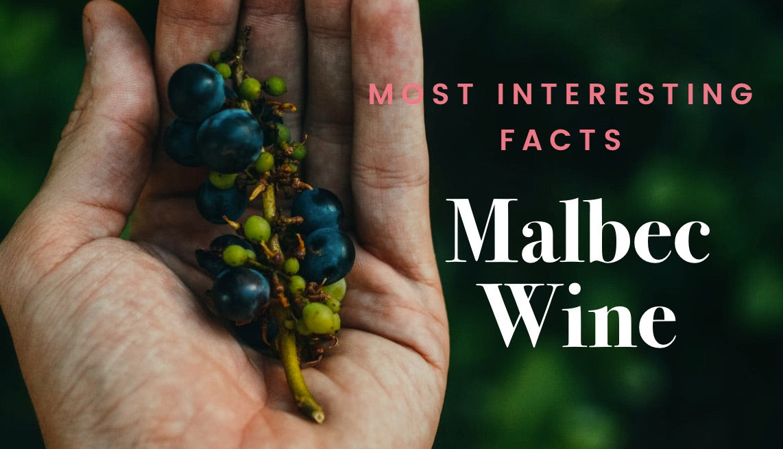 Malbec Wine Facts