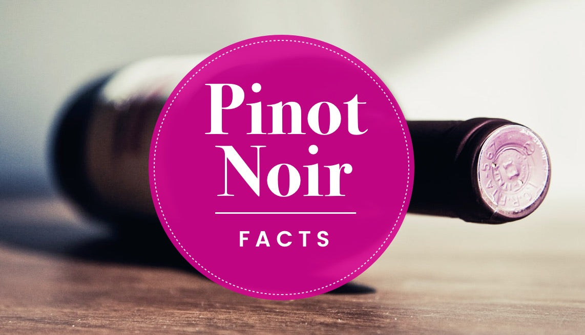 Most Interesting Facts about Pinot Noir Wine