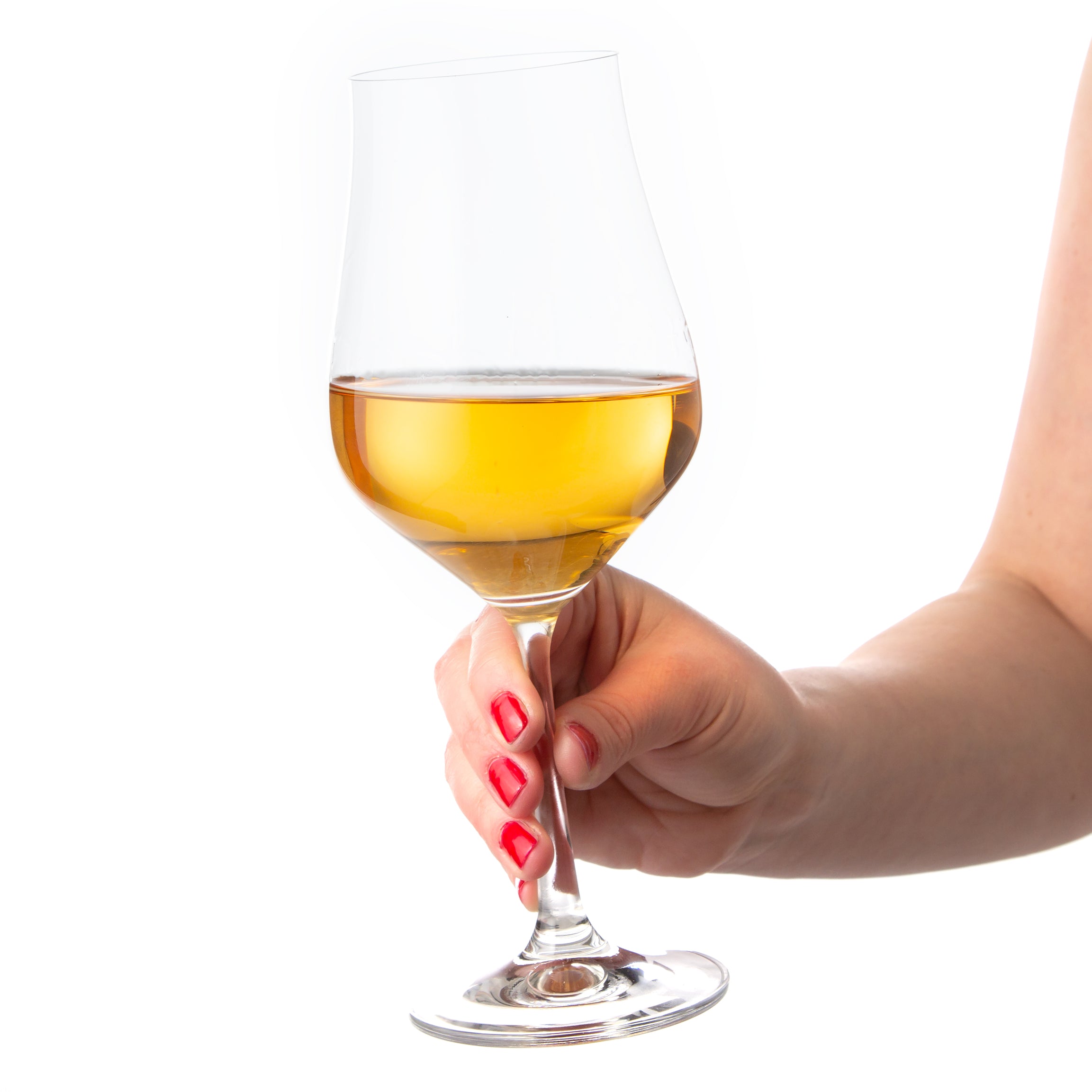 Tulipa Wine Glasses Set of 6 (11.8 oz)